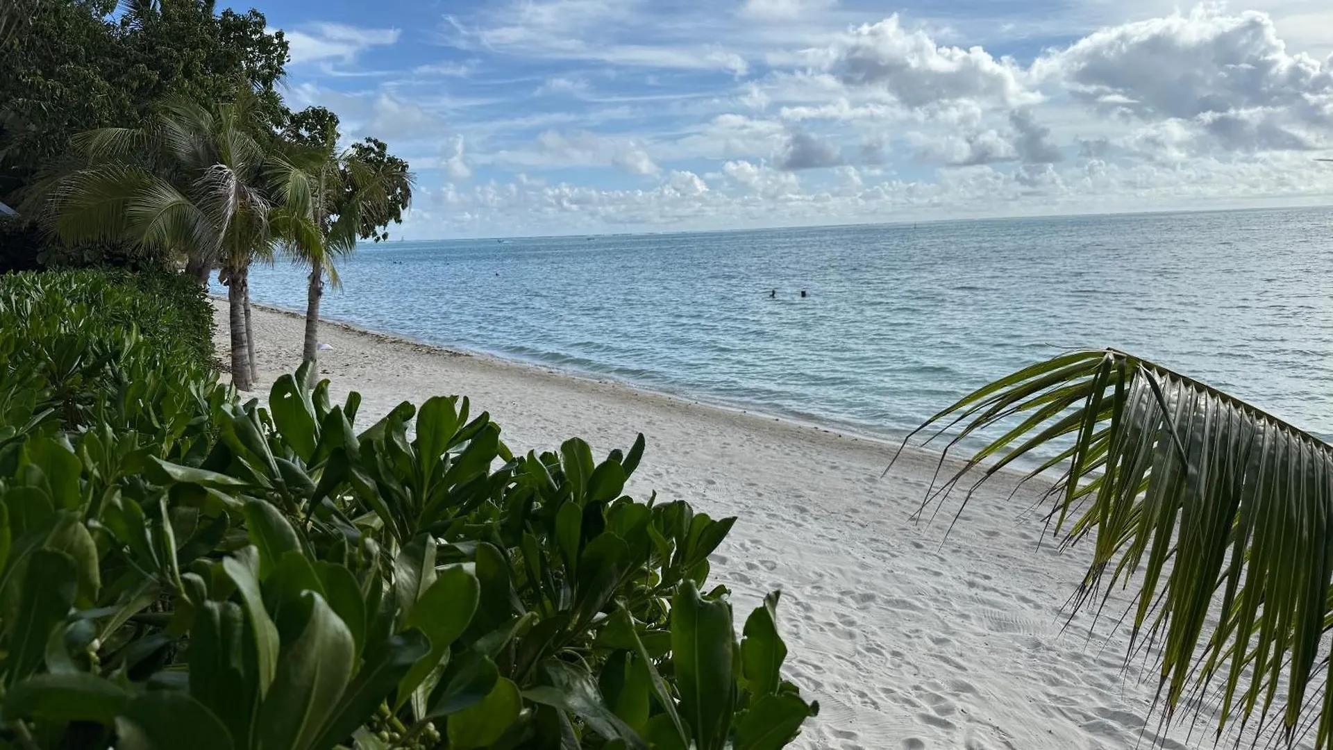 Blue Lagoon - Terrace View & Beach Access - Free Wifi Parking - Bora Bora Dream - Special Offer