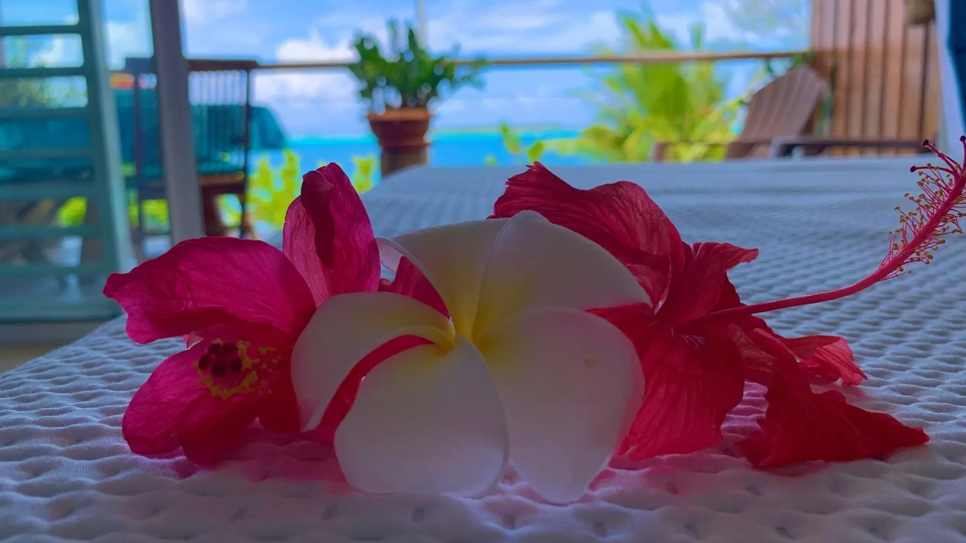Blue Lagoon - Terrace View & Beach Access - Free Wifi Parking - Bora Bora Dream - Special Offer Französisch-Polynesien